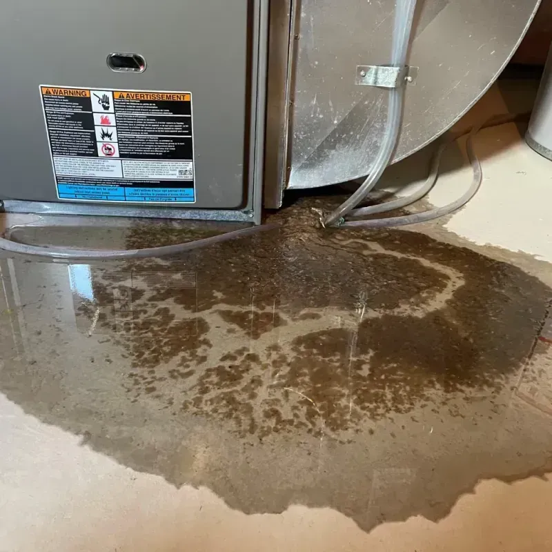 Appliance Leak Cleanup in Stephenville, TX